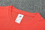 25-26 Bayern High quality Tank Top And Shorts Suit