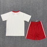25-26 Benfica Special Edition Kids Soccer Jersey 1:1 Thai Quality