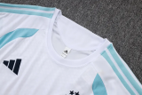 26-27 Argentina High Quality Training Short Suit