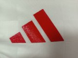 25-26 Benfica Third Player Version Soccer Jersey