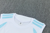 26-27 Argentina High quality Tank Top And Shorts Suit