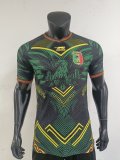 25-26 Mali Home Player Version Soccer Jersey
