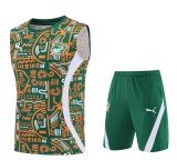 25-26 Côte d'Ivoire High Quality Tank Top And Shorts Suit