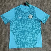 26-27 Palmeiras Training Shirts 26-27 Palmeiras Training Shirts