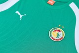 26-27 Senegal High Quality Training Short Suit