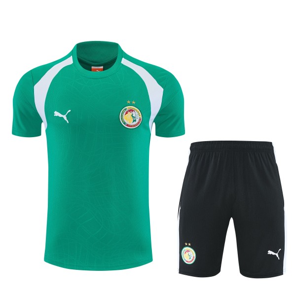 26-27 Senegal High Quality Training Short Suit
