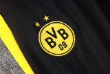 26-27 Dortmund High Quality Half Pull Tracksuit