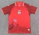 2026 Haiti Third Fans Soccer Jersey