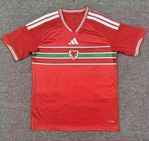 2026 Wales Home Fans Soccer Jersey