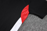 25-26 Bayern High Quality Polo Tracksuit