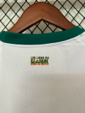 2026 Senegal Home Fans Soccer Jersey (With 2 Star)*两颗星