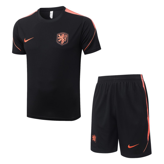 26-27 NetherIands High Quality Training Short Suit