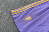 26-27 Man Utd High Quality Training Short Suit