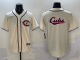 2025 MLB Chicago Cubs New Pattern Jersey