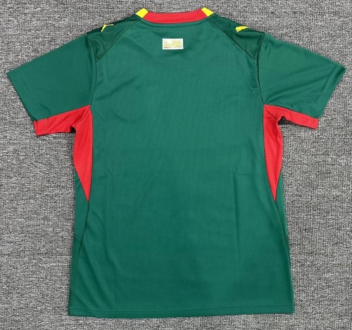 2026 Senegal Away Fans Soccer Jersey (With 2 Star)*两颗星