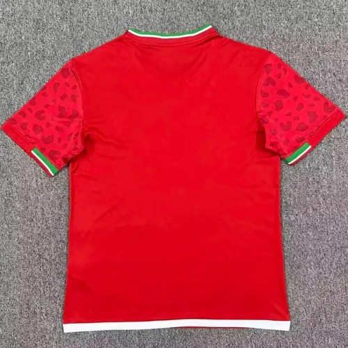 2026 Iran Away Fans Soccer Jersey