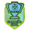 CAMPEAO2024 (巴西杯冠)胸前 CAMPEAO2024 (巴西杯冠)胸前