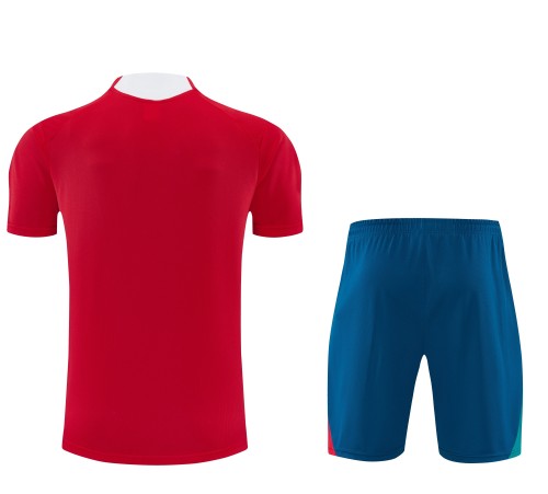 26-27 Portugal High Quality Training Short Suit