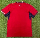 2026 CZECH Home Fans Soccer Jersey