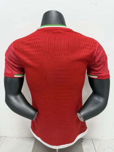 2026 Iran Away Player Version Soccer Jersey