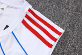 25-26 Bayern High quality Tank Top And Shorts Suit