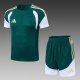2026 AD Green High Quality Player Version Training Short Suit (球员套装)