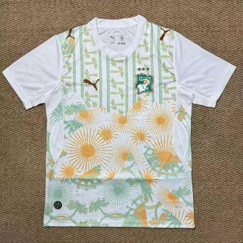 2026 Cote d'Ivoire Away Fans Soccer Jersey