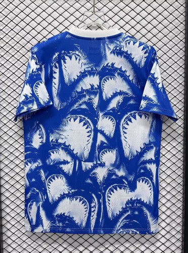 26-27 Cape Verde Special Edition Fans Soccer Jersey