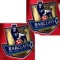 CHAMPIONS 12/13(双袖联赛金章)