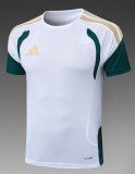 2026 AD White High Quality Player Version Training Short Suit (球员套装)