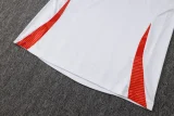 24-25 Internacional High Quality Polo Tracksuit