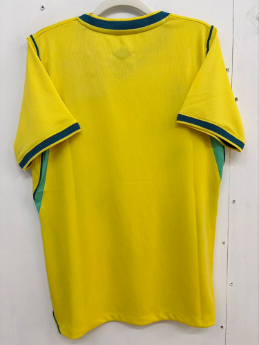 2026 Brazil Embroidered Version Fans Soccer Jersey