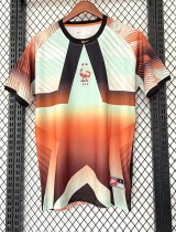 25-26 France GoalKeeper Fans Soccer Jersey 25-26 France GoalKeeper Fans Soccer Jersey