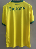 25-26 Palmeiras Yellow Third Fans Soccer Jersey