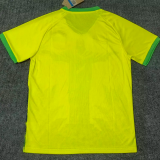 25-26 Brazil Yellow Special Edition Training shirts  (绿袖口)