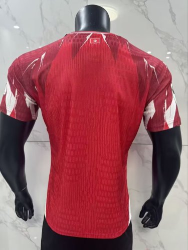 2026 Tunisia Home Leaked Edition Player Version Soccer Jersey