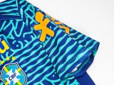 2024 Brazil Special Edition Fans Soccer Jersey