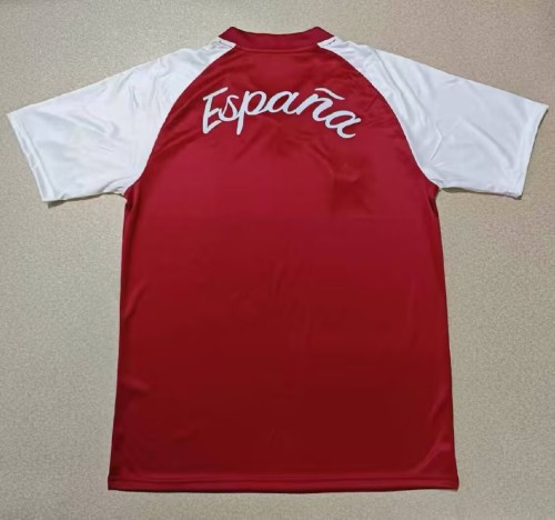 26-27 Spain Red Training shirts