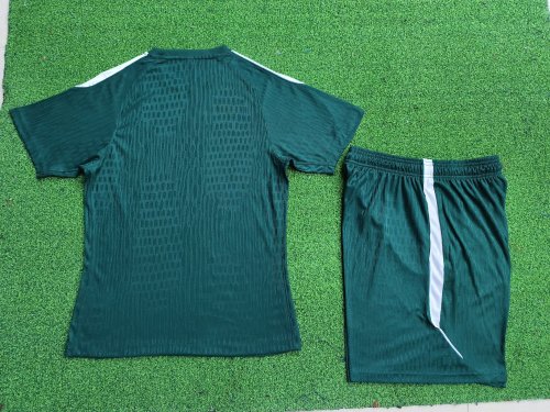 2026 NK Green High Quality Player Version Training Short Suit (球员套装)