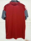 26-27 Internacional Red Training shirts