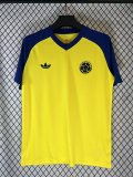 26-27 Colombia Yellow Training shirts