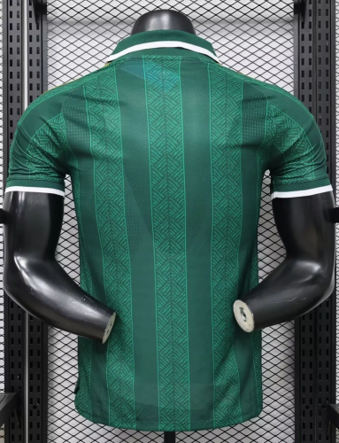 2026 South Africa Away Player Version Soccer Jersey