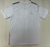 25-26 Benfica Special Edition Fans Soccer Jersey
