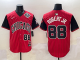 2025 MLB Chicago White Sox New Pattern Jersey