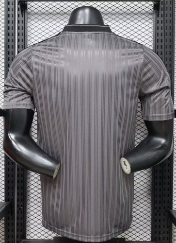 2026 AD Grey Player Version Training shirts