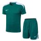 2026 NK Green High Quality Player Version Training Short Suit (球员套装)