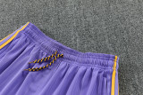 26-27 Man Utd High Quality Training Short Suit