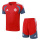 26-27 Internacional High Quality Training Short Suit