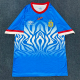 25-26 DR Congo Blue Special Edition Fans Soccer Jersey