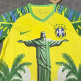 25-26 Brazil Yellow Green Special Edition Training shirts  (黄袖口)